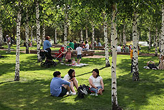 В Москве на следующей неделе температура воздуха опустится до 18 градусов