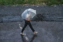 В 116 населенных пунктах Подмосковья отключился свет из-за непогоды