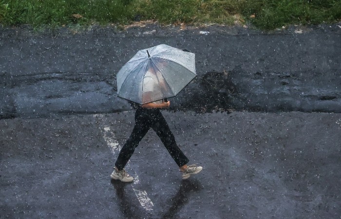 В 116 населенных пунктах Подмосковья отключился свет из-за непогоды