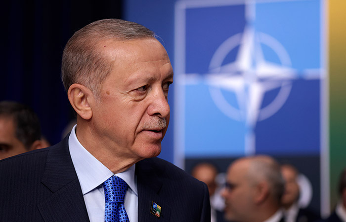 Эрдоган попросил Испанию содействовать процессу вступления Турции в ЕС