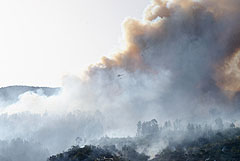 На Канарах эвакуировали несколько тысяч человек из-за лесного пожара
