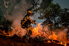 В нескольких странах Европы вспыхнули природные пожары из-за аномальной жары