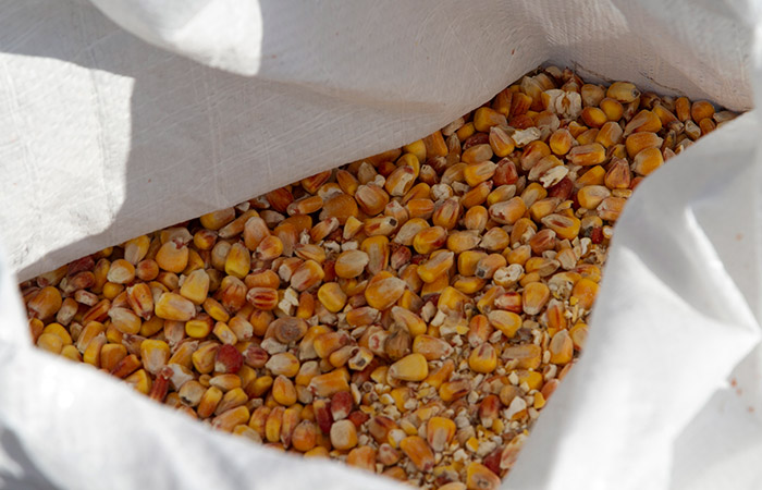 Польша не намерена снимать эмбарго на поставки сельхозпродукции с Украины