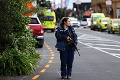 Два человека погибли в результате стрельбы в Новой Зеландии