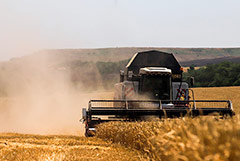 Лукашенко подтвердил планируемую покупку зерна в РФ