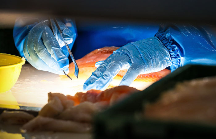 Россия запрещает ввоз готовой продукции из рыбы и морепродуктов из недружественных стран