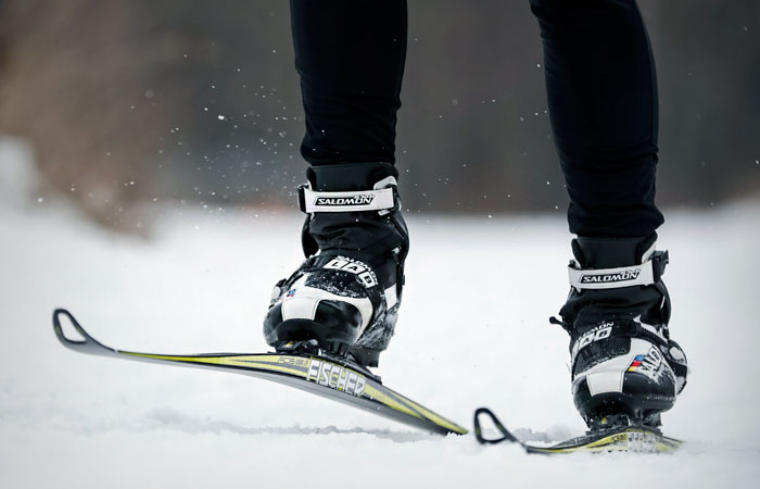 Госдума разрешила прокладывать велодорожки и лыжные трассы в лесах