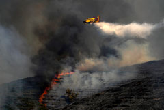 Еврокомиссия отправила в Грецию пожарные самолеты