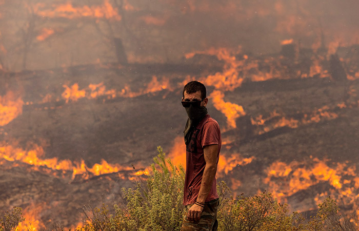Лесные пожары приблизились к Афинам