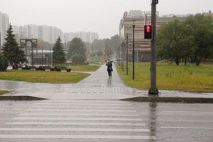 Дождь и гроза ожидаются в Москве в субботу