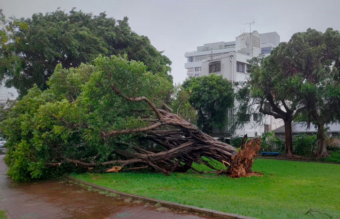 Более 30 человек пострадали от мощного тайфуна на юго-западе Японии