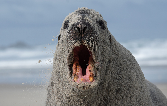 Лучшие фото недели