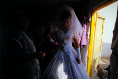 В Казахстане хотят ввести в УК статью с наказанием за кражу невест