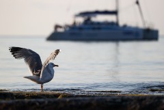 Движение машин по Крымскому мосту восстановили