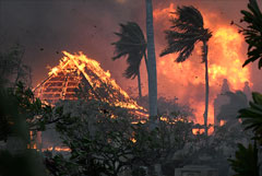 Пожары на Гавайях привели к гибели 36 человек и уничтожению города Лахайна