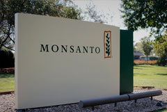 В РФ с 15 августа запретят ввоз семян из нидерландского питомника Monsanto
