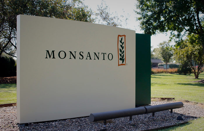 В РФ с 15 августа запретят ввоз семян из нидерландского питомника Monsanto