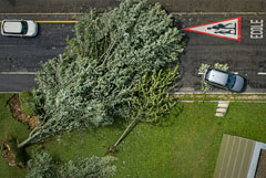 Глобальные страховые требования в связи со стихийными бедствиями достигли $50 млрд