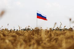 Естественная убыль населения России за I полугодие снизилась на 29%