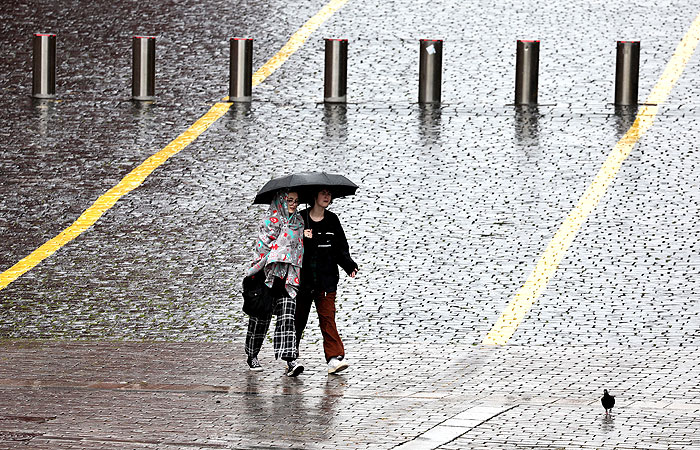До четверти месячной нормы осадков может выпасть к утру в Москве