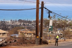 Число жертв пожаров на Гавайях достигло 110 человек