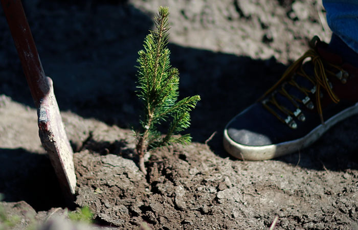 Геологоразведка дает компании право не проводить восстановление леса