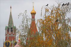 Москвичам пообещали теплое начало сентября