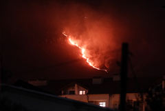 Лесной пожар в Геленджике не дошел до "Сафари-парка"