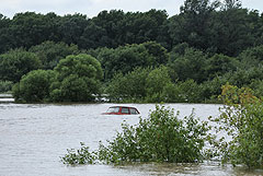 Более 44 тыс. человек пострадали от паводка в Приморье