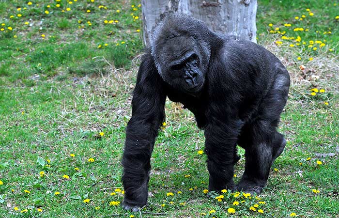 Что произошло в мире науки. Вечерний дайджест