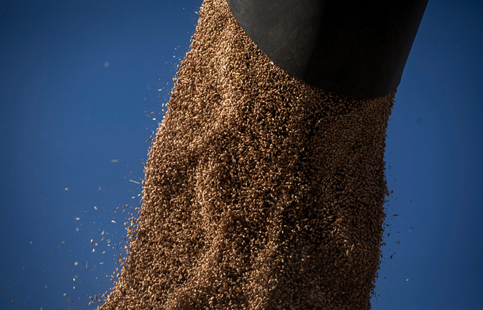 ЕС на фоне встречи Путина и Эрдогана вновь призвал вернуться к "зерновой сделке"