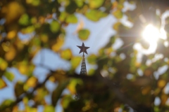 Выше 20 градусов будет в Москве на следующей неделе