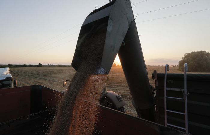 Молдавия ввела ограничения на импорт украинской сельхозпродукции