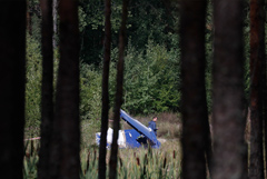 Президент РФ заявил о фрагментах гранат в телах погибших на самолете Пригожина