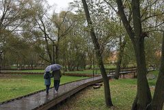 Дождь, мокрый снег и сильный ветер ожидаются в Москве в воскресенье