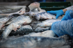 Россия за 8 месяцев увеличила экспорт продукции АПК в Китай в 2,7 раза. Обзор