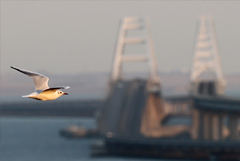 Крымский мост перекроют для автомобилей во вторник на семь часов для ремонта