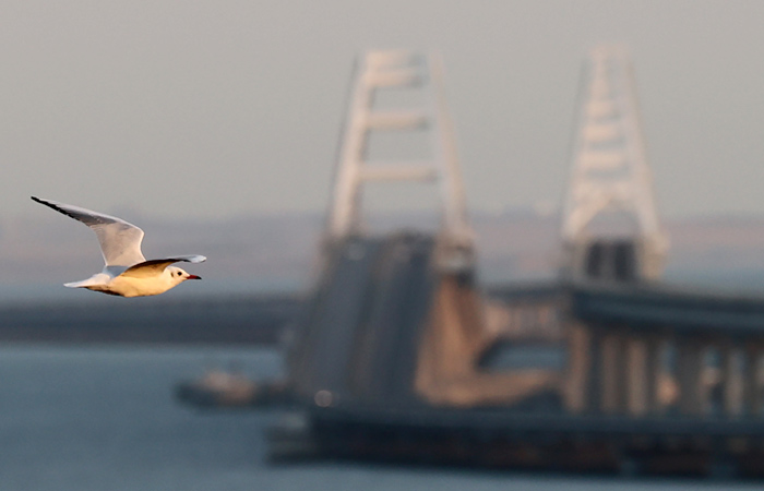 Крымский мост перекроют для автомобилей во вторник на семь часов для ремонта