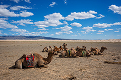 РФ, КНР и Монголия запустят межгосударственный турмаршрут "Великий чайный путь"