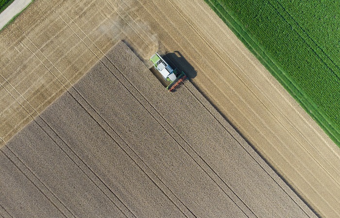 Пошлина на экспорт пшеницы из РФ с 11 октября повысилась на 14,4%