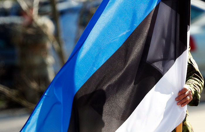 В парламент Эстонии направили проект об использовании замороженных активов РФ