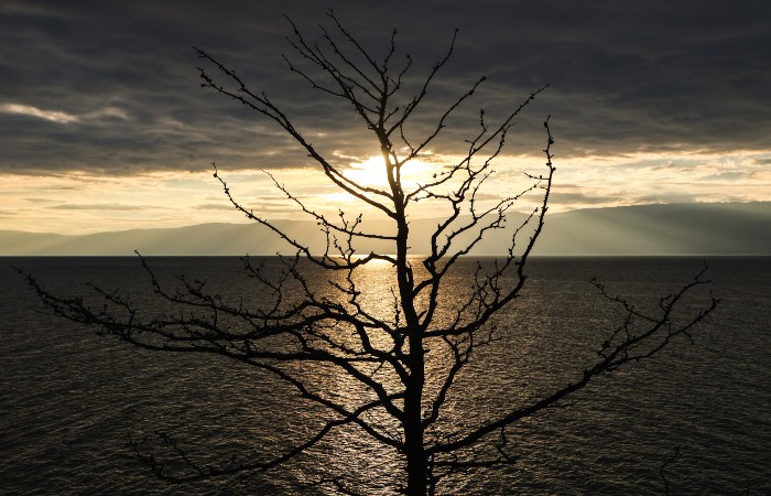 Володин предложил убрать из законопроекта норму о сплошных вырубках на Байкале