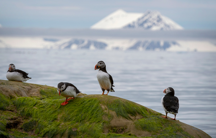 Что произошло в мире науки. Вечерний дайджест
