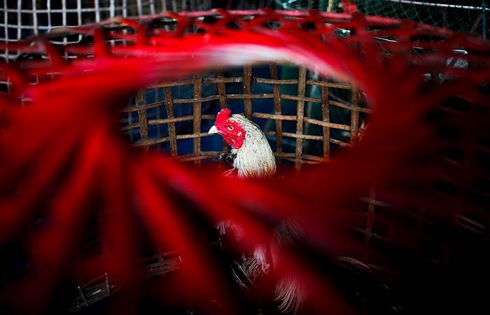 Что произошло в мире науки. Вечерний дайджест