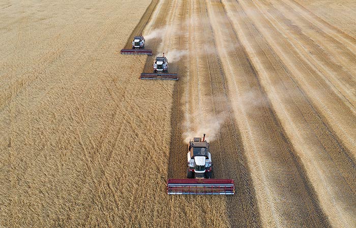 РФ в октябре экспортировала рекордные для этого месяца 5 млн т пшеницы