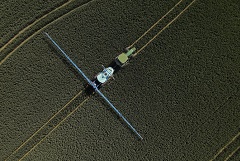 Пошлина на экспорт пшеницы из РФ с 1 ноября снизилась на 14,1%