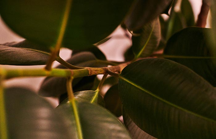 Что произошло в мире науки. Вечерний дайджест