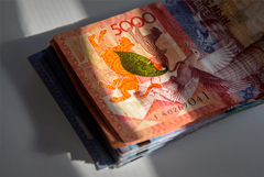 Власти Казахстана могут ввести прогрессивную шкалу подоходного налога