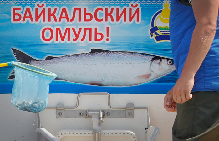 Началась подготовка к возобновлению промысла байкальского омуля