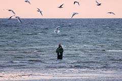 Крым рассчитывает принять 5 млн туристов в 2023 году